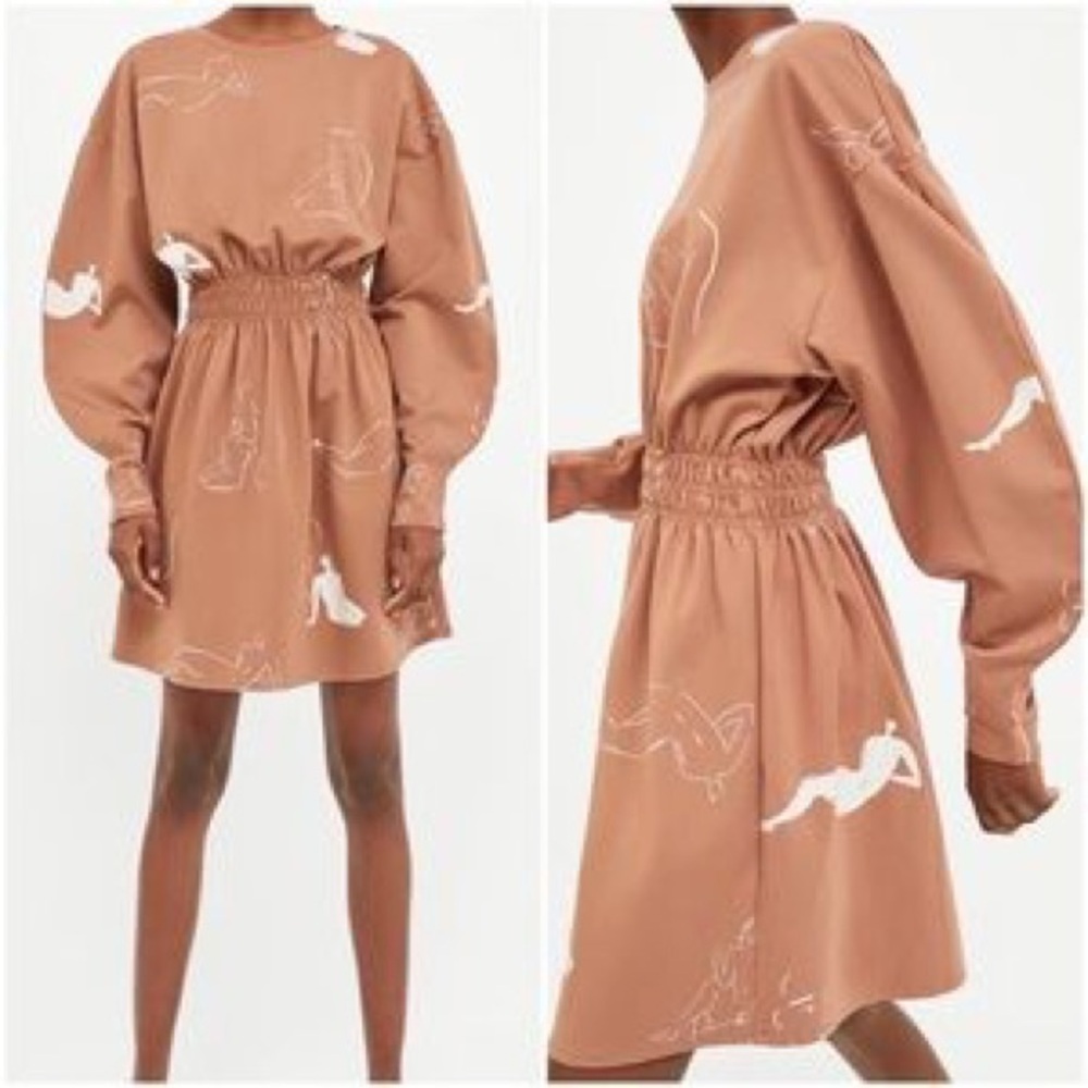 Zara NWT figures dress